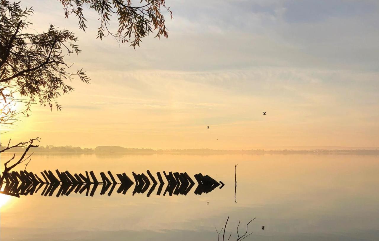 Amazing Home In Lembruch-Duemmer See With Sauna Экстерьер фото